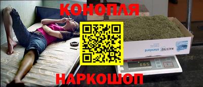 индика Тверь