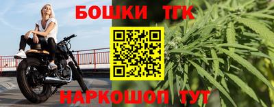 индика Тверь