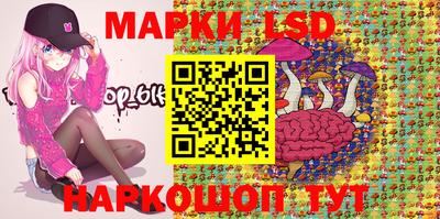 индика Тверь