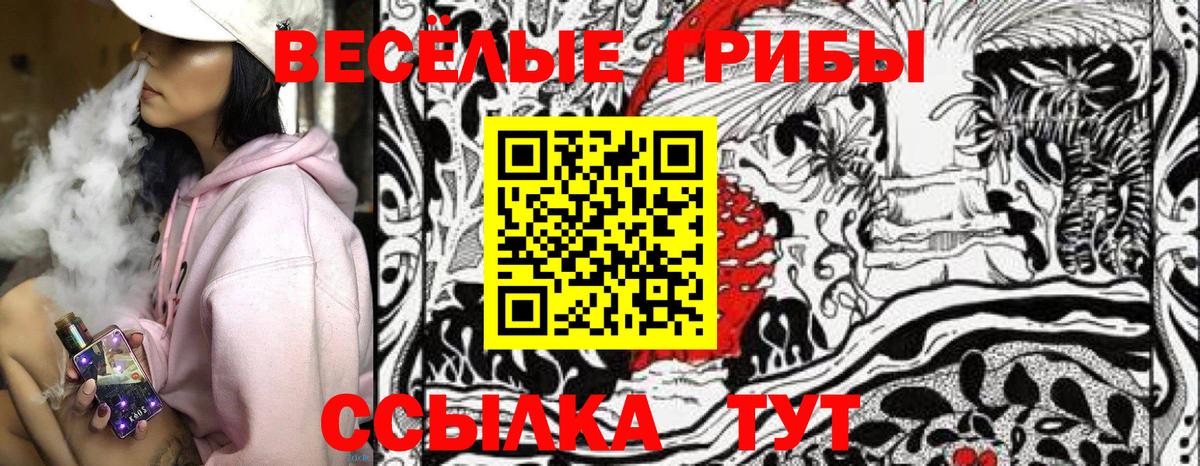 Галлюциногенные грибы Psilocybe  Вход с VPN  Семилуки  Галлюциногенные грибы Cubensis 